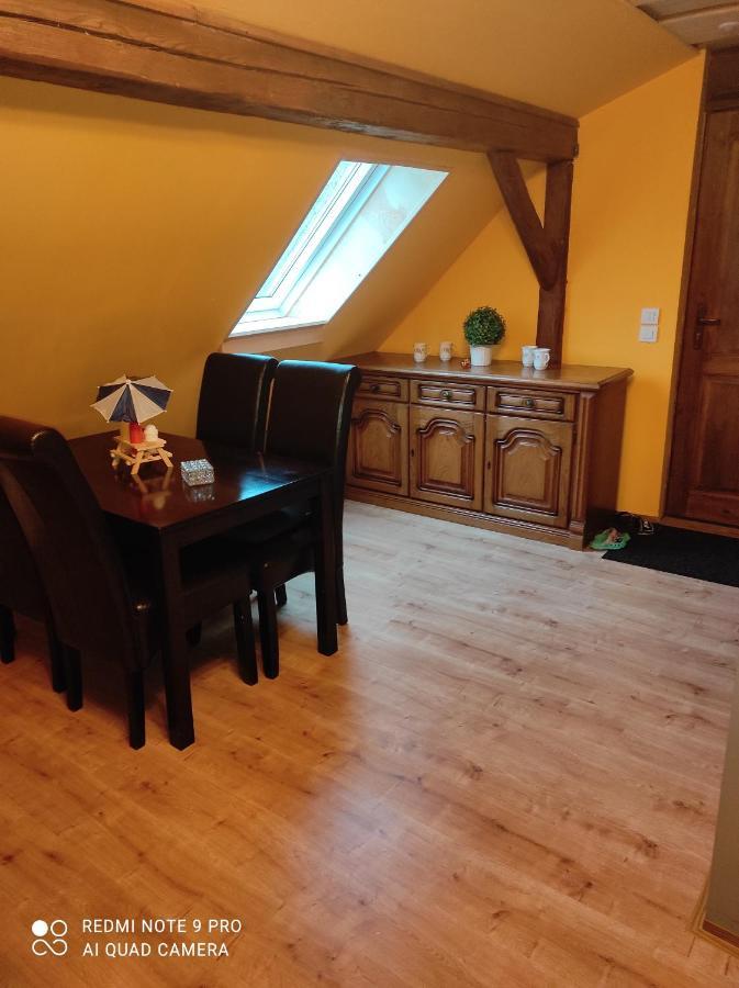 Apartman Sumava U Rybaku Volenice  المظهر الخارجي الصورة